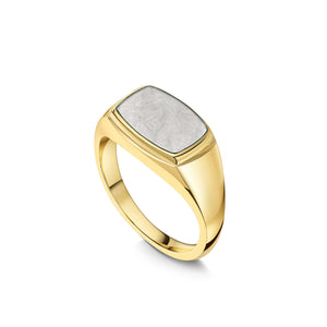 Rectangular Signet Ashes Resin Ring - Gold